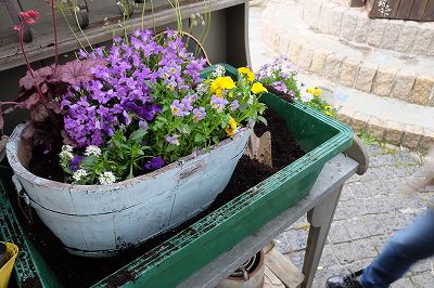 お家に眠っている植木鉢ありませんか？