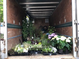 トラックいっぱいの花と5ｍのヤマボウシを詰め込んで向かった先は！？