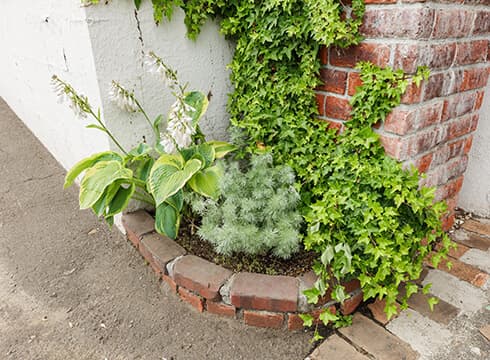 門柱前の植栽コーナー